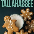 Unlocking VIP Access to the Best Beer Festivals in Tallahassee, FL